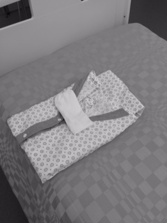 zuleika hospizal gown 2